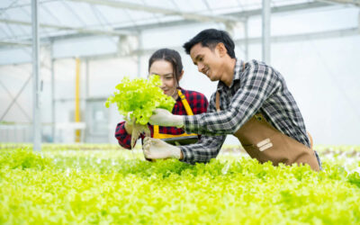Blog Testing 2