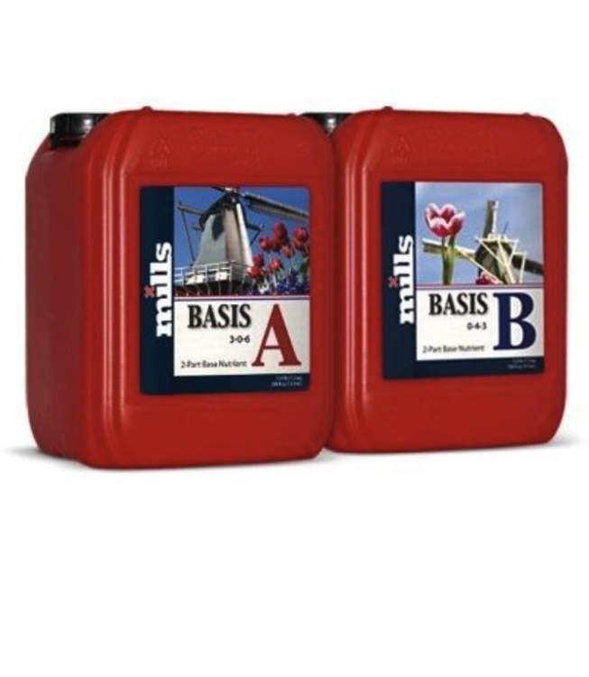 Basis A&B